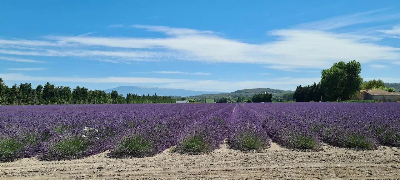 Bed and Breakfast La Bastide Des Arts Saumane-de-Vaucluse Francia