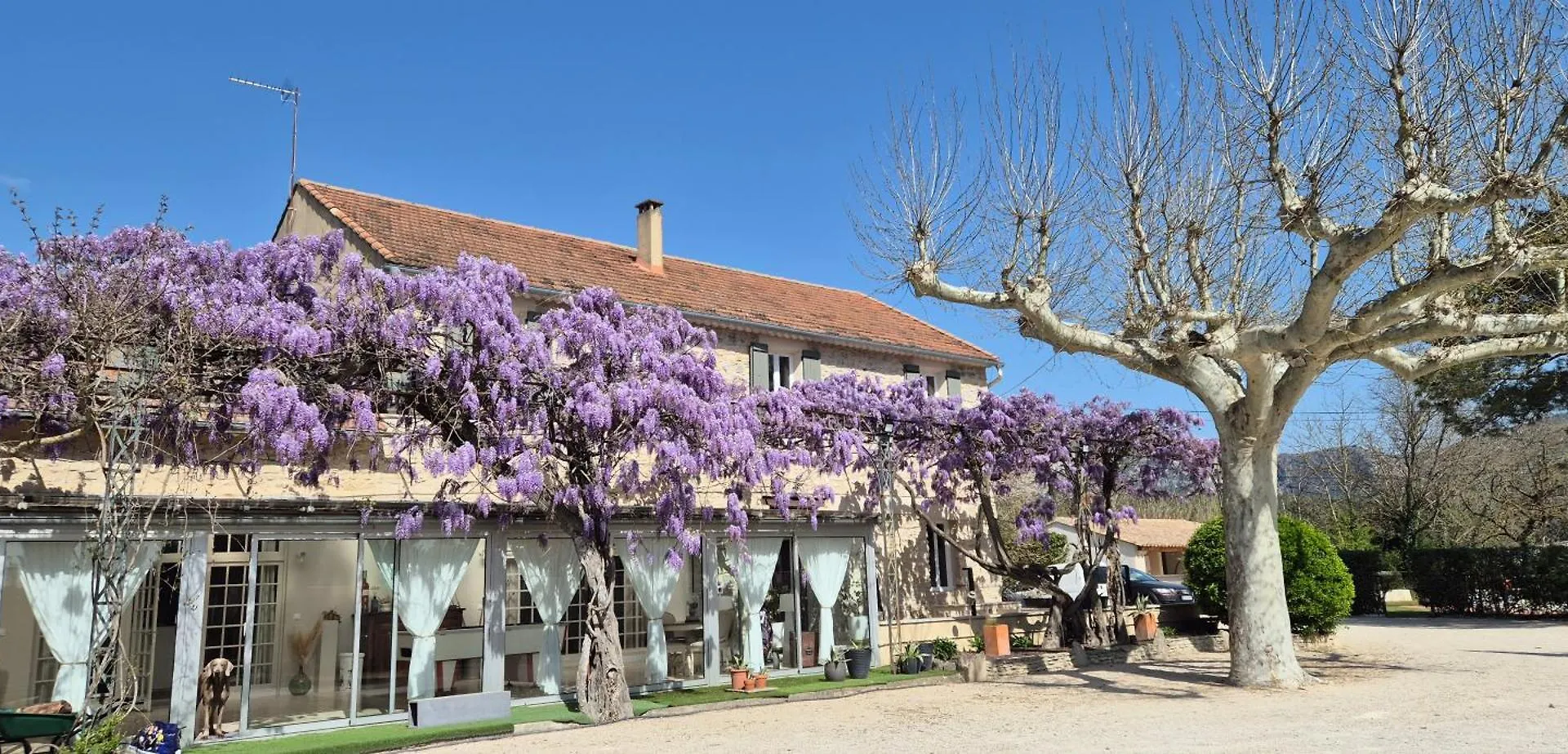 Bed and Breakfast La Bastide Des Arts Saumane-de-Vaucluse 0*,  Francia